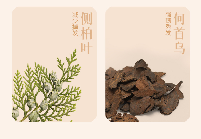 洗发水详情页_06.jpg