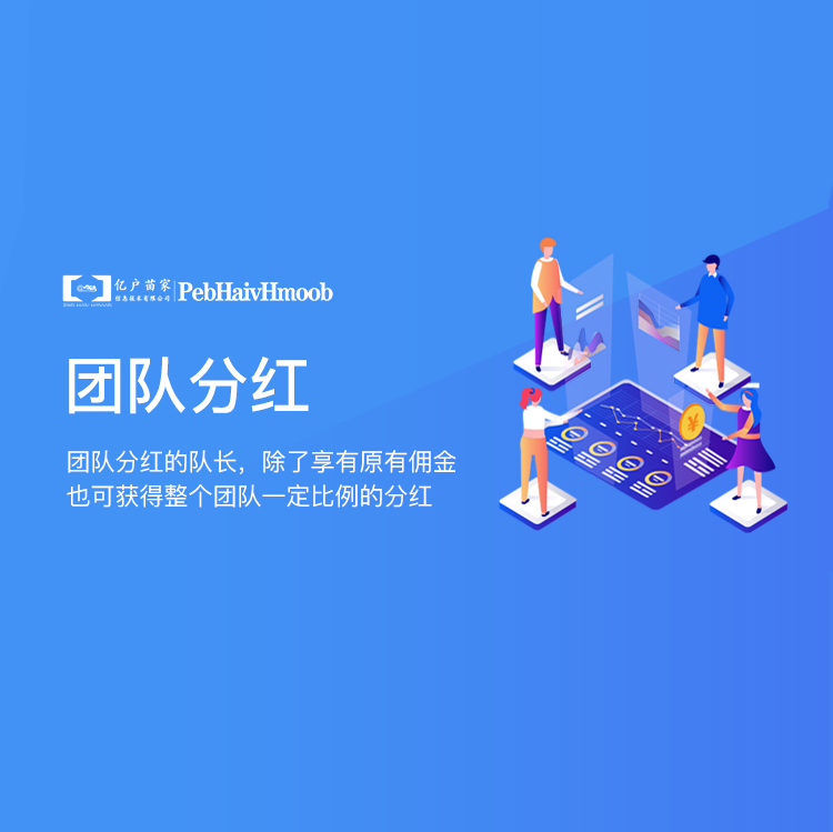 团队分红